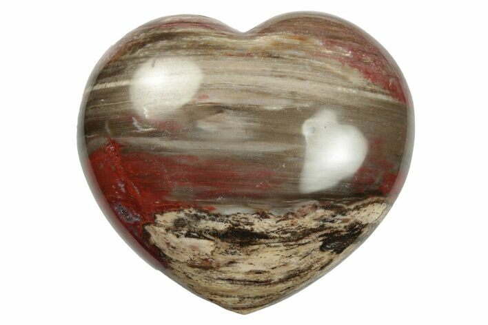 Polished Triassic Petrified Wood Heart - Madagascar #249189